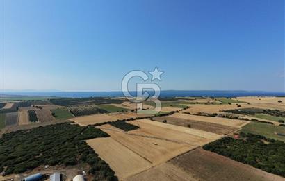 ÇANAKKALE HALİLELİ KÖYÜNDE 17.859 M2  1. SINIF EKİLEBİLİR TARIM ARAZİSİ