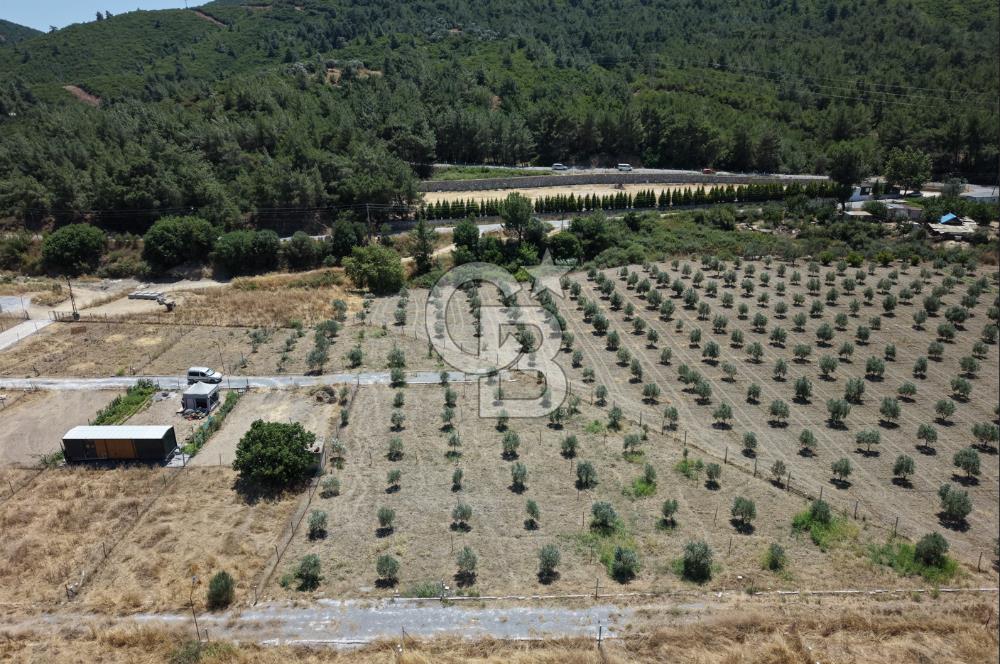 SEFERİHİSAR KAVAKDERE'DE SU-ELEKTRİKLİ SATILIK HOBİ BAHÇESİ
