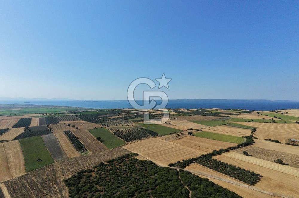 ÇANAKKALE HALİLELİ KÖYÜNDE 17.859 M2  1. SINIF EKİLEBİLİR TARIM ARAZİSİ
