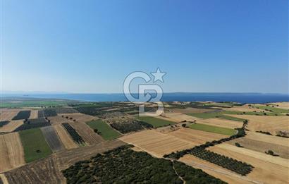 ÇANAKKALE HALİLELİ KÖYÜNDE 17.859 M2  1. SINIF EKİLEBİLİR TARIM ARAZİSİ