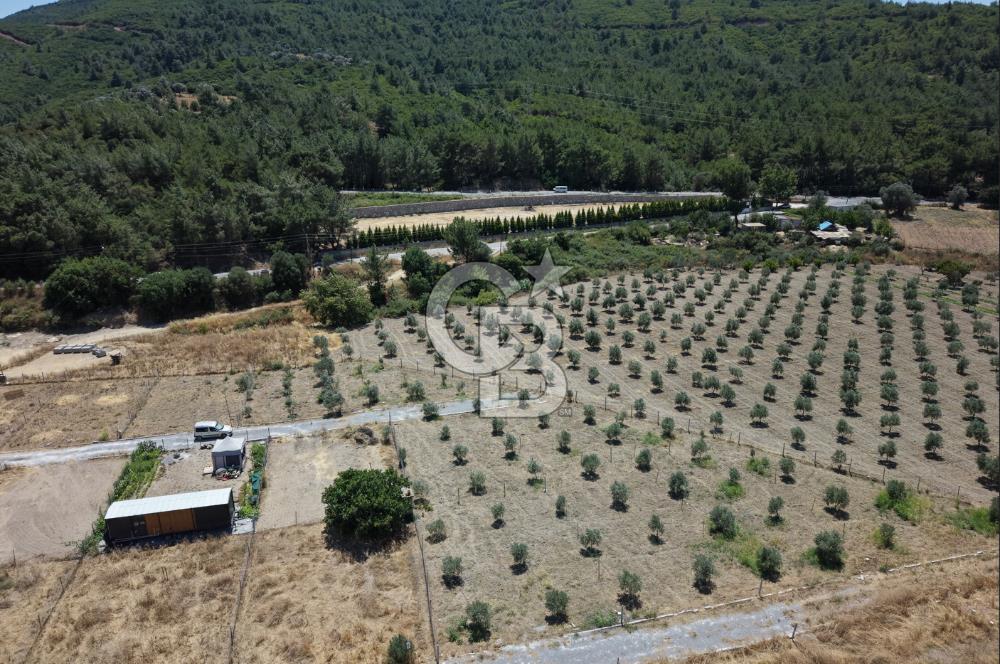 SEFERİHİSAR KAVAKDERE'DE SU-ELEKTRİKLİ SATILIK HOBİ BAHÇESİ