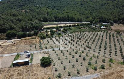 SEFERİHİSAR KAVAKDERE'DE SU-ELEKTRİKLİ SATILIK HOBİ BAHÇESİ