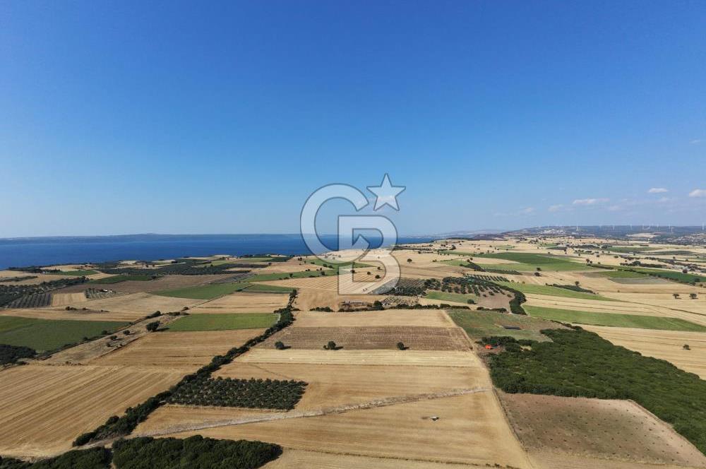 ÇANAKKALE HALİLELİ KÖYÜNDE 17.859 M2  1. SINIF EKİLEBİLİR TARIM ARAZİSİ