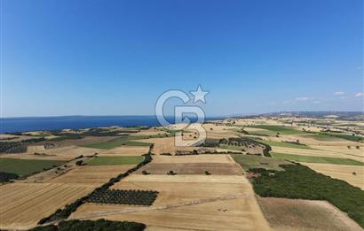 ÇANAKKALE HALİLELİ KÖYÜNDE 17.859 M2  1. SINIF EKİLEBİLİR TARIM ARAZİSİ