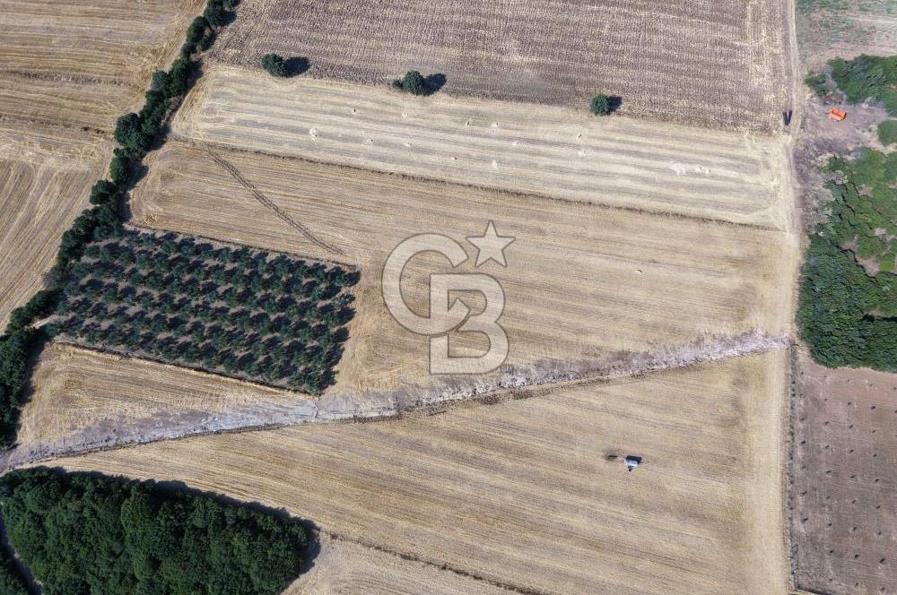 ÇANAKKALE HALİLELİ KÖYÜNDE 17.859 M2  1. SINIF EKİLEBİLİR TARIM ARAZİSİ