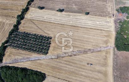 ÇANAKKALE HALİLELİ KÖYÜNDE 17.859 M2  1. SINIF EKİLEBİLİR TARIM ARAZİSİ