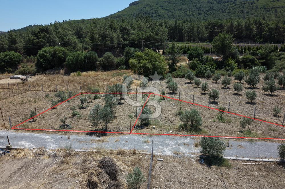 SEFERİHİSAR KAVAKDERE'DE SU-ELEKTRİKLİ SATILIK HOBİ BAHÇESİ