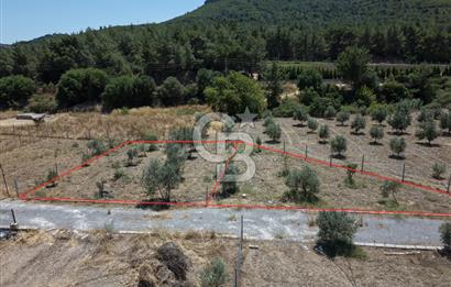 SEFERİHİSAR KAVAKDERE'DE SU-ELEKTRİKLİ SATILIK HOBİ BAHÇESİ