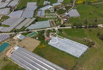 KAŞ DiRGENLER DE SATILIK FIRSAT MÜSTAKİL EV VE SERA - 6 - 344070