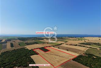 ÇANAKKALE HALİLELİ KÖYÜNDE 17.859 M2  1. SINIF EKİLEBİLİR TARIM ARAZİSİ - 1 - 363797