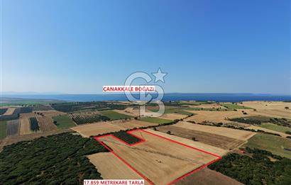 ÇANAKKALE HALİLELİ KÖYÜNDE 17.859 M2  1. SINIF EKİLEBİLİR TARIM ARAZİSİ