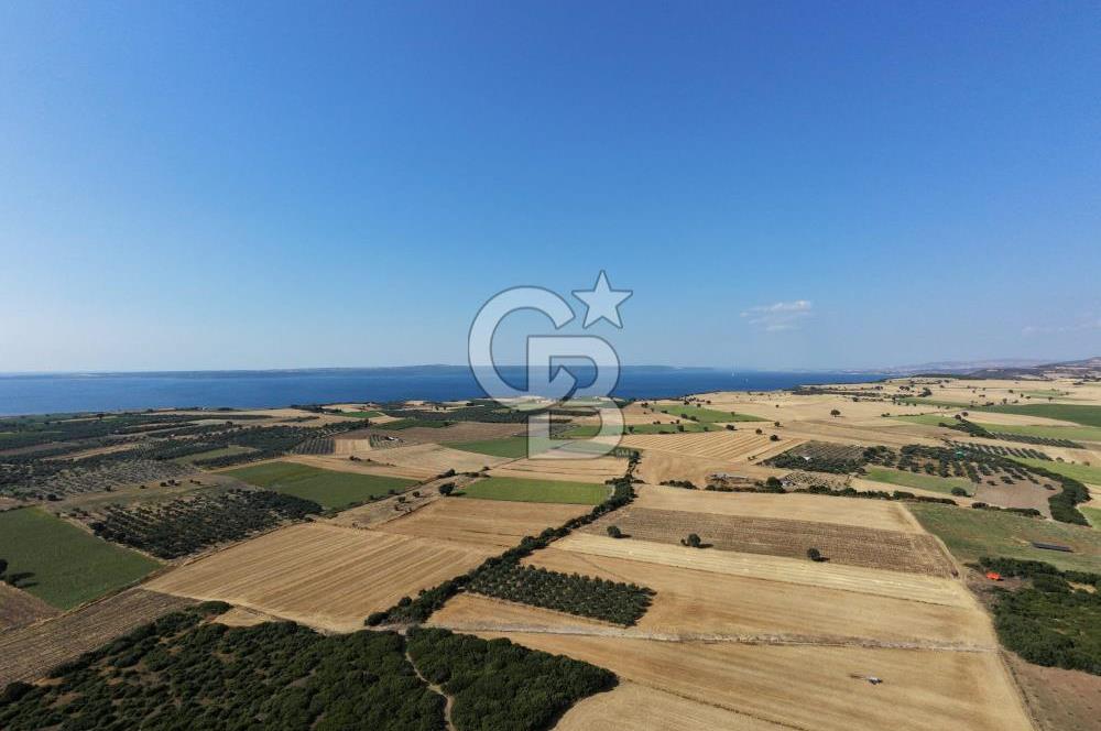 ÇANAKKALE HALİLELİ KÖYÜNDE 17.859 M2  1. SINIF EKİLEBİLİR TARIM ARAZİSİ