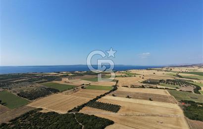 ÇANAKKALE HALİLELİ KÖYÜNDE 17.859 M2  1. SINIF EKİLEBİLİR TARIM ARAZİSİ