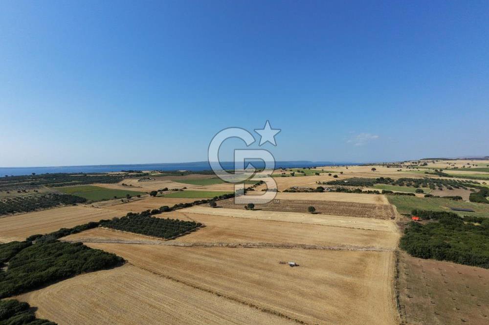 ÇANAKKALE HALİLELİ KÖYÜNDE 17.859 M2  1. SINIF EKİLEBİLİR TARIM ARAZİSİ