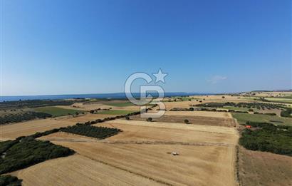 ÇANAKKALE HALİLELİ KÖYÜNDE 17.859 M2  1. SINIF EKİLEBİLİR TARIM ARAZİSİ