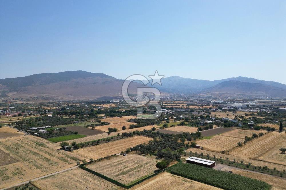 ALİAĞA HELVACI’DA SATILIK 5071 M2 MÜSTAKİL TARLA