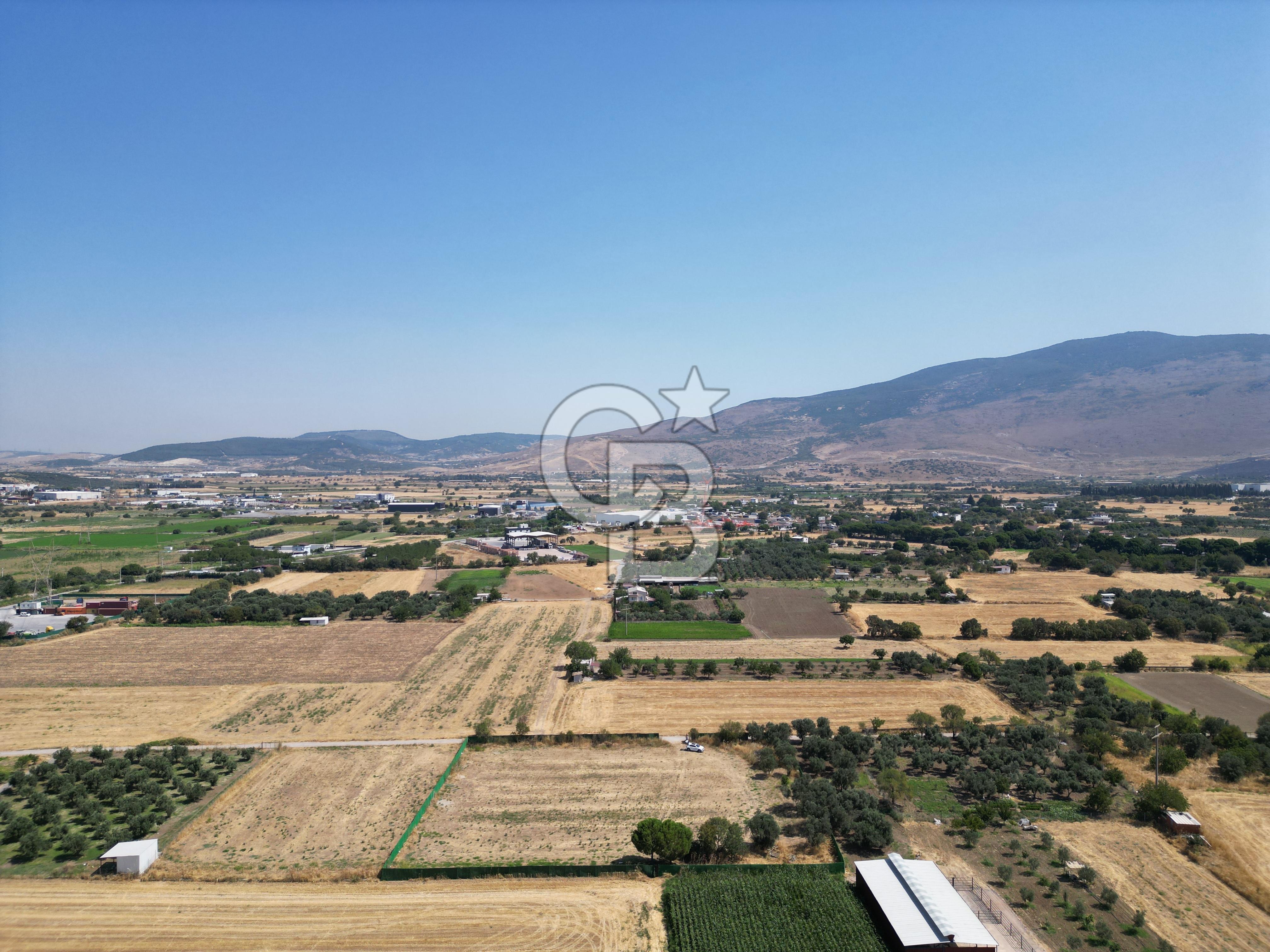 ALİAĞA HELVACI’DA SATILIK 5071 M2 MÜSTAKİL TARLA