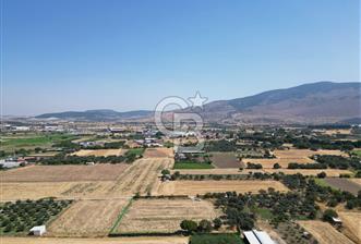 ALİAĞA HELVACI’DA SATILIK 5071 M2 MÜSTAKİL TARLA - 11 - 363871