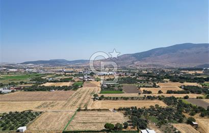 ALİAĞA HELVACI’DA SATILIK 5071 M2 MÜSTAKİL TARLA