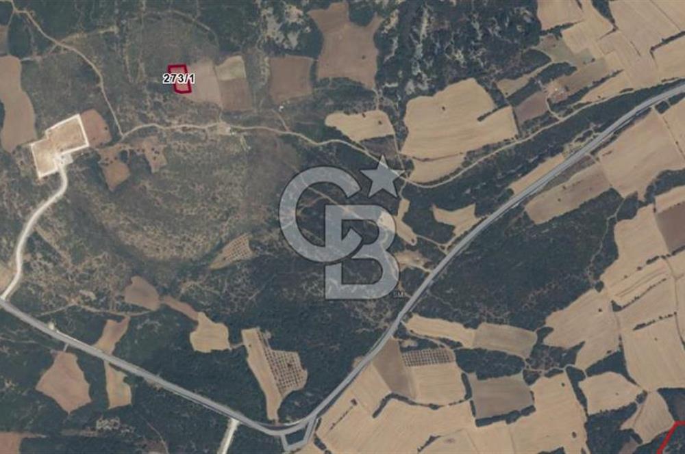 ECEABAT KÜÇÜKANAFARTA'DA 1.500 m² YATIRIMLIK TARLA | YOLA YAKIN