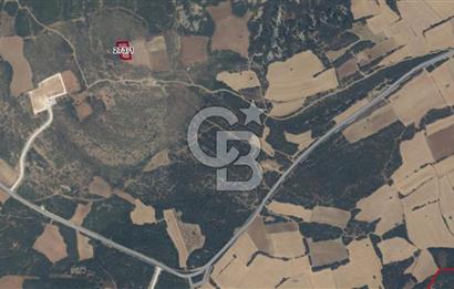 ECEABAT KÜÇÜKANAFARTA'DA 1.500 m² YATIRIMLIK TARLA | YOLA YAKIN