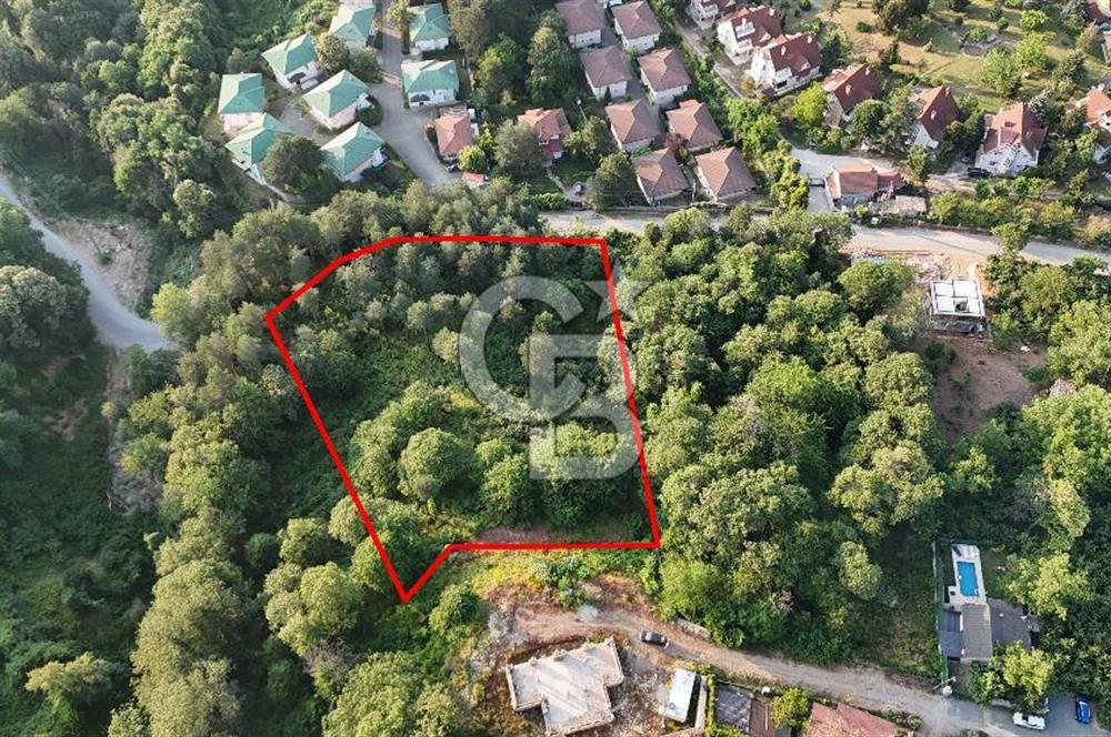 SAPANCA İLMİYE'DE PANORMİK GÖL MANZARALI 5546M2 İMARLI ARSA