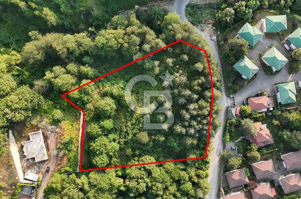 SAPANCA İLMİYE'DE PANORMİK GÖL MANZARALI 5546M2 İMARLI ARSA