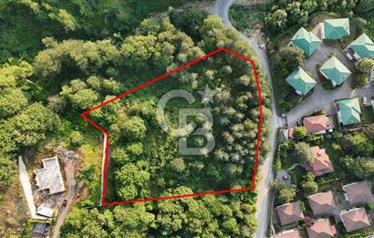 SAPANCA İLMİYE'DE PANORMİK GÖL MANZARALI 5546M2 İMARLI ARSA