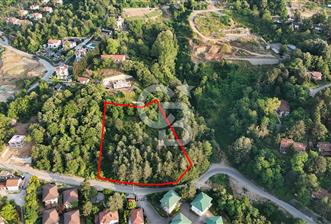 SAPANCA İLMİYE'DE PANORMİK GÖL MANZARALI 5546M2 İMARLI ARSA - 1 - 364286