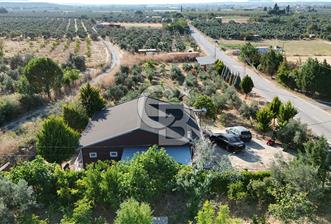 Gömeç'te Çiftlik Evi 2800 m2 Asfalt Yola Cephe - 1 - 363839