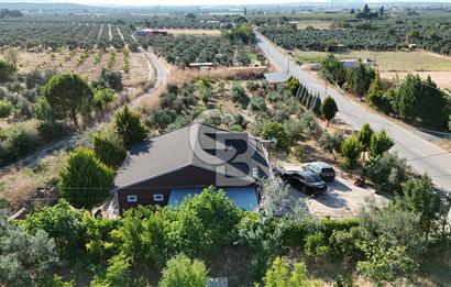 Gömeç'te Çiftlik Evi 2800 m2 Asfalt Yola Cephe