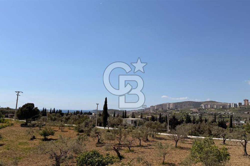 Kuşadasında 1000 m2 Arsa İçnde Deniz Manzaralı,Havuzlu Malikane