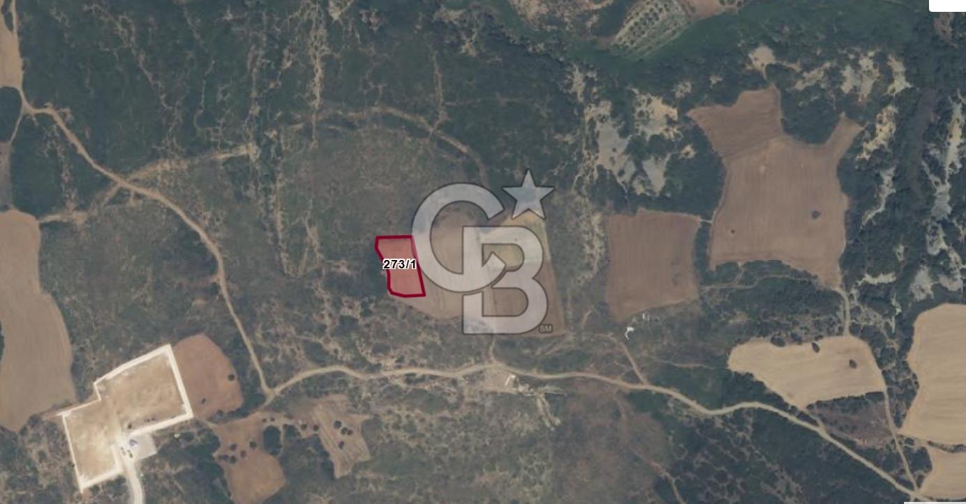 ECEABAT KÜÇÜKANAFARTA'DA 1.500 m² YATIRIMLIK TARLA | YOLA YAKIN