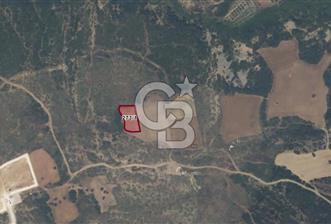 ECEABAT KÜÇÜKANAFARTA'DA 1.500 m² YATIRIMLIK TARLA | YOLA YAKIN - 6 - 363849