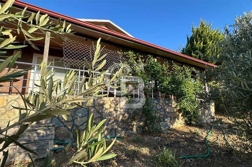 Gömeç'te Çiftlik Evi 2800 m2 Asfalt Yola Cephe