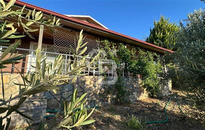 Gömeç'te Çiftlik Evi 2800 m2 Asfalt Yola Cephe