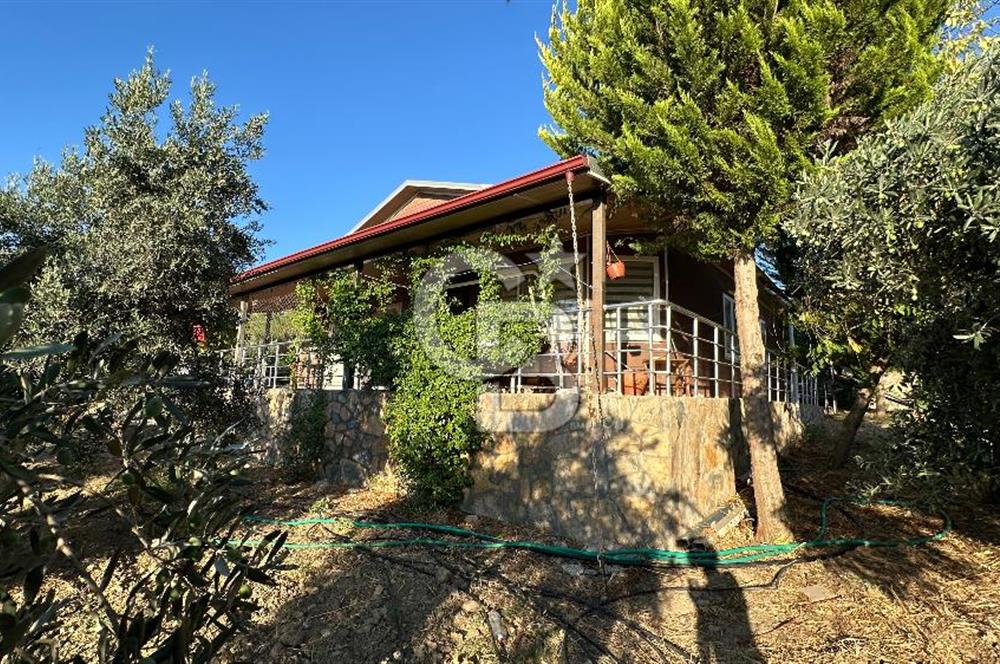 Gömeç'te Çiftlik Evi 2800 m2 Asfalt Yola Cephe
