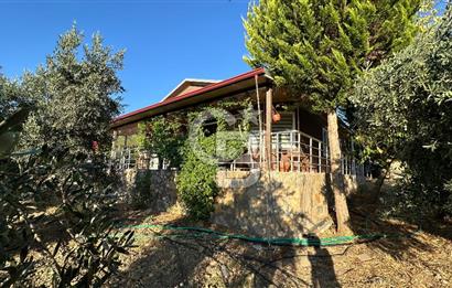 Gömeç'te Çiftlik Evi 2800 m2 Asfalt Yola Cephe