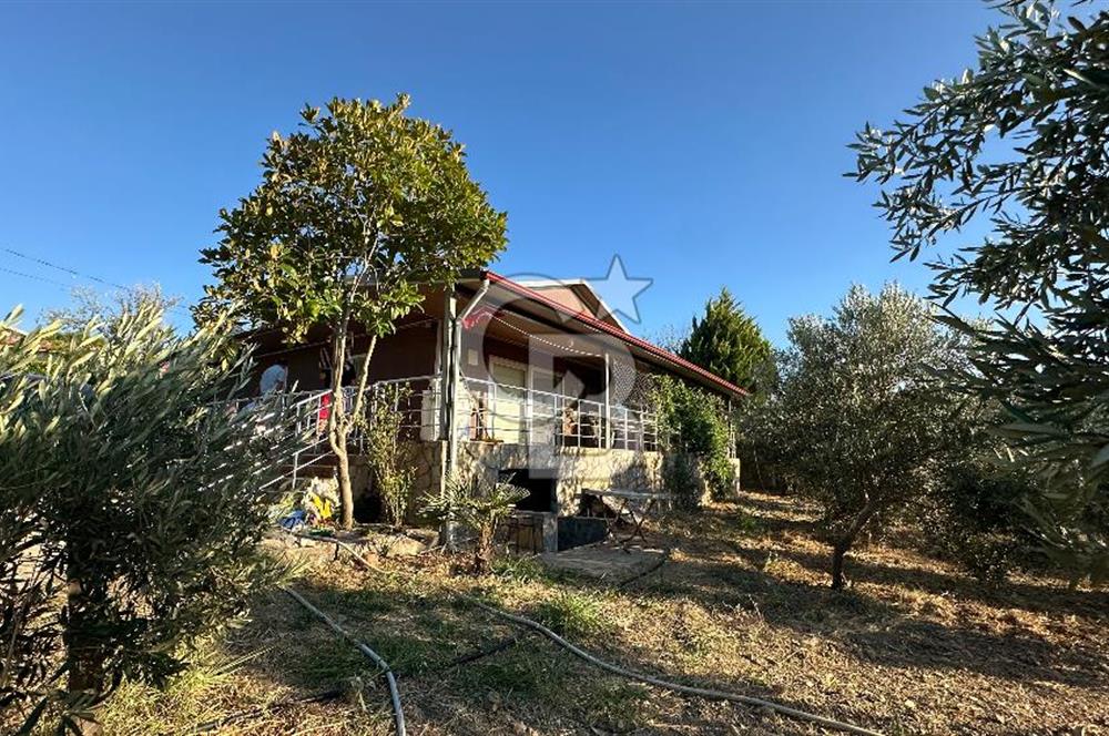 Gömeç'te Çiftlik Evi 2800 m2 Asfalt Yola Cephe
