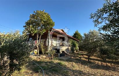 Gömeç'te Çiftlik Evi 2800 m2 Asfalt Yola Cephe