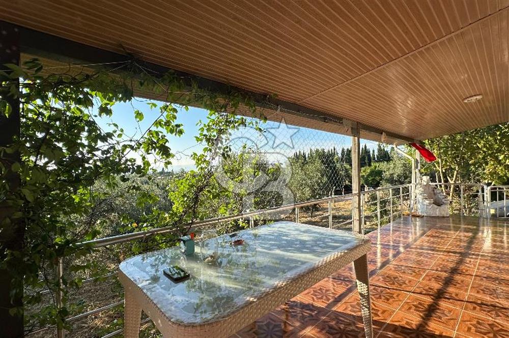 Gömeç'te Çiftlik Evi 2800 m2 Asfalt Yola Cephe