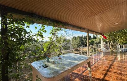 Gömeç'te Çiftlik Evi 2800 m2 Asfalt Yola Cephe