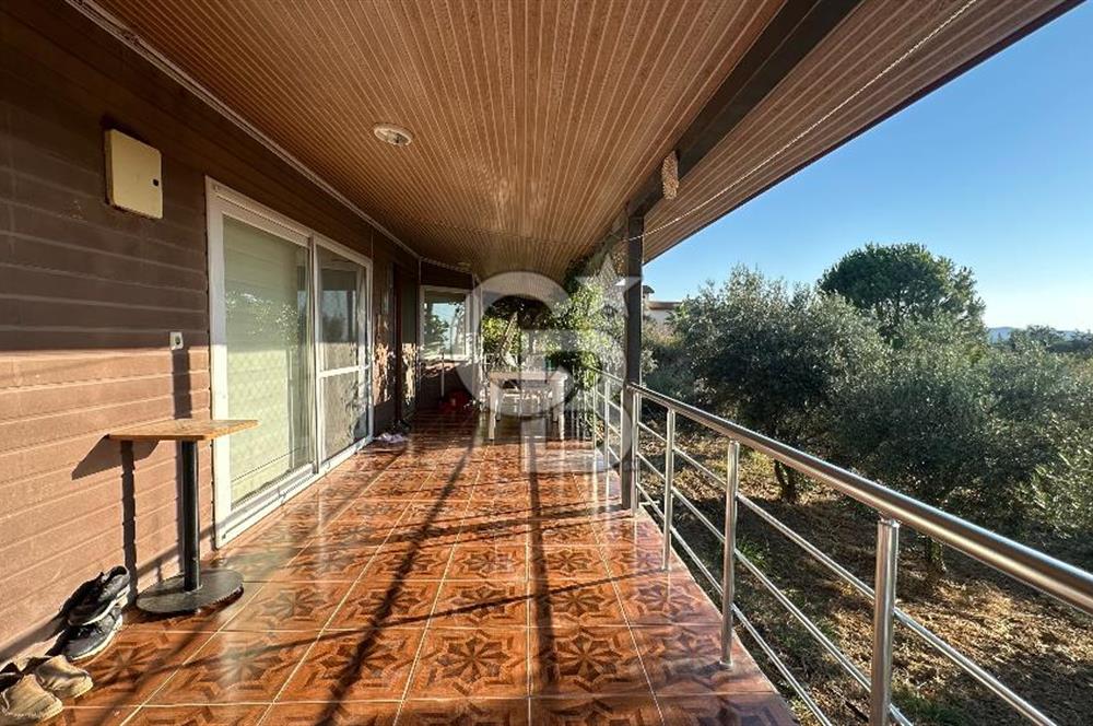 Gömeç'te Çiftlik Evi 2800 m2 Asfalt Yola Cephe