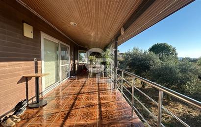Gömeç'te Çiftlik Evi 2800 m2 Asfalt Yola Cephe