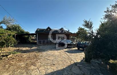 Gömeç'te Çiftlik Evi 2800 m2 Asfalt Yola Cephe