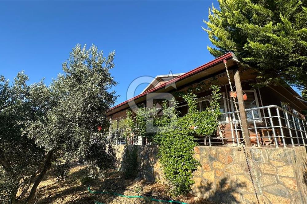 Gömeç'te Çiftlik Evi 2800 m2 Asfalt Yola Cephe