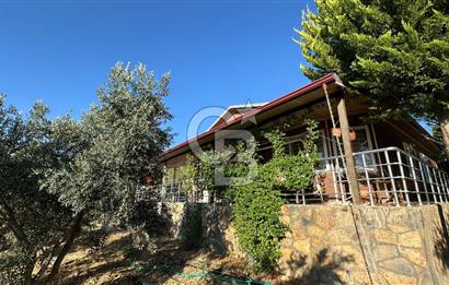 Gömeç'te Çiftlik Evi 2800 m2 Asfalt Yola Cephe