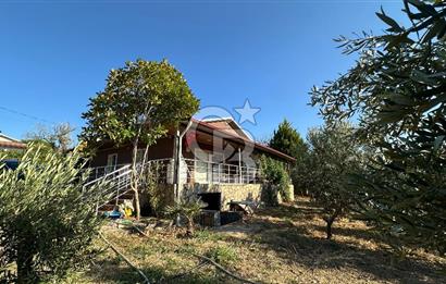 Gömeç'te Çiftlik Evi 2800 m2 Asfalt Yola Cephe