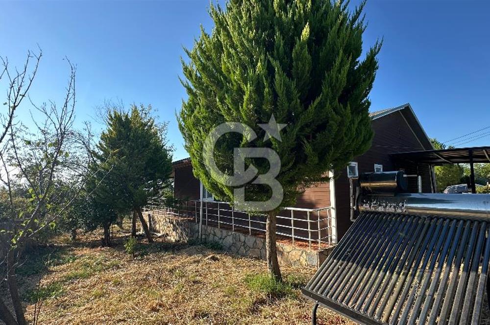 Gömeç'te Çiftlik Evi 2800 m2 Asfalt Yola Cephe