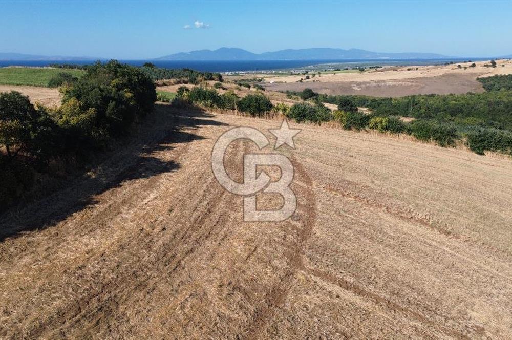 BALIKESİR GÖNEN KINALAR MAHALLESİ'NDE SATILIIK  ARAZİ